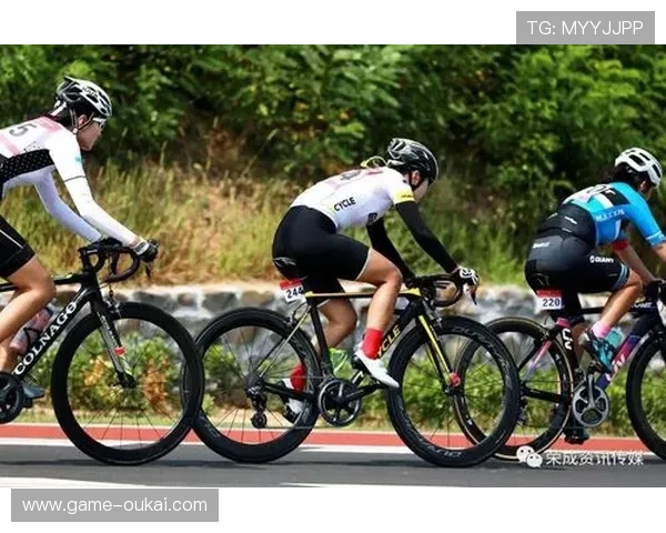 满冠体育竞猜攻略：深度解析各种赛事，让您的下注更具战略性与趣味性