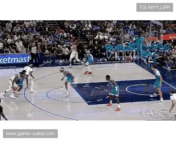 雷火体育下载的推荐理由：助你轻松获取最新体育赛事动态与资讯